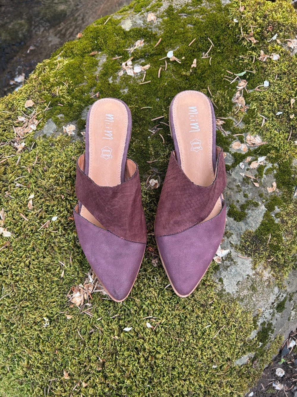 MiMi Two-Tone Pointed Mule